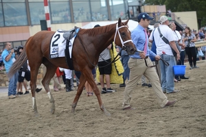 Monomoy Girl being walked around in front of the winners circle