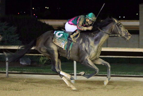 Tequilita winning the Charles Town oaks Photo by Tim Sudduth