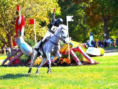 Action Ardwn Wldasin Sunday Times