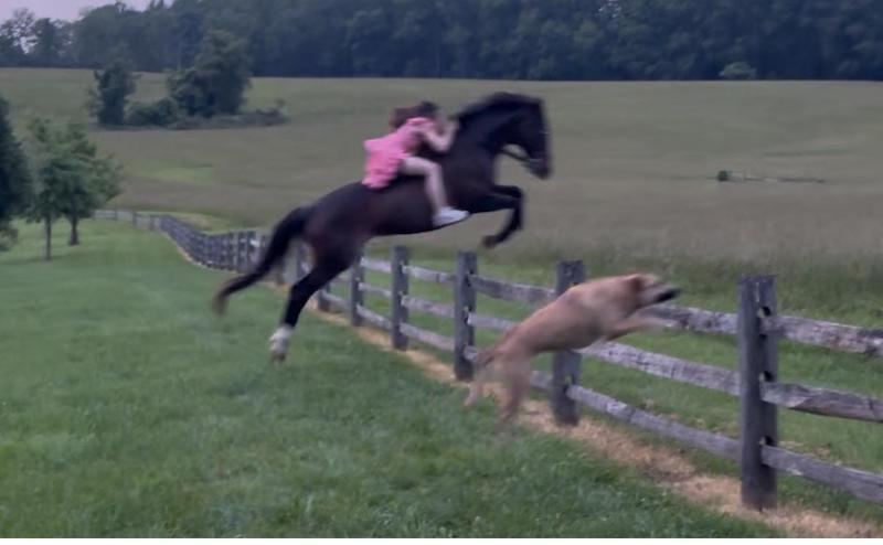 Action girl bareback jumping Davies