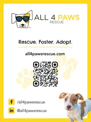 All 4 Paws side ad