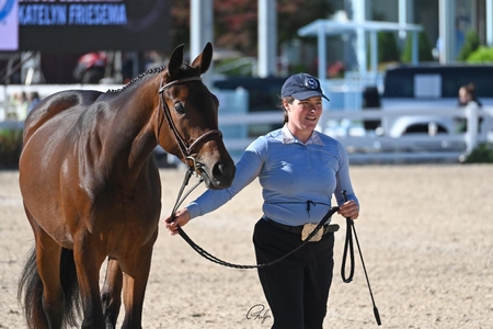 All That Elizabeth Capor Best Young Horse Phelps Sports