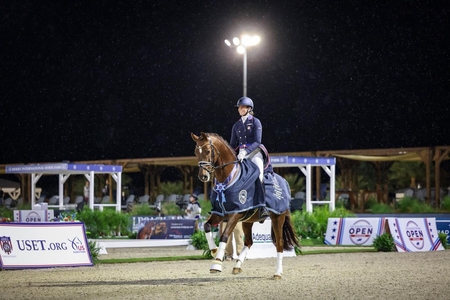 Anna Marek on Fayvel Devyn Trethwey