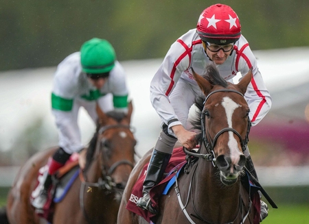 Barnavara Scoop Dyga