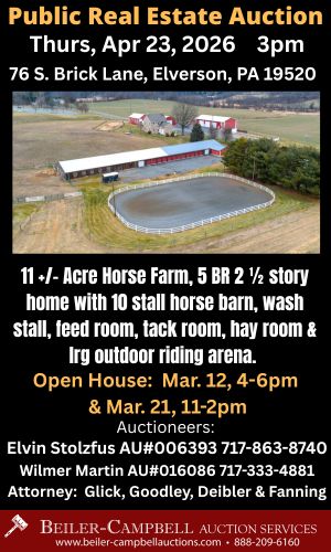 Beiler camp Auction ad 2026