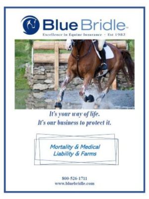 Blue Bridle