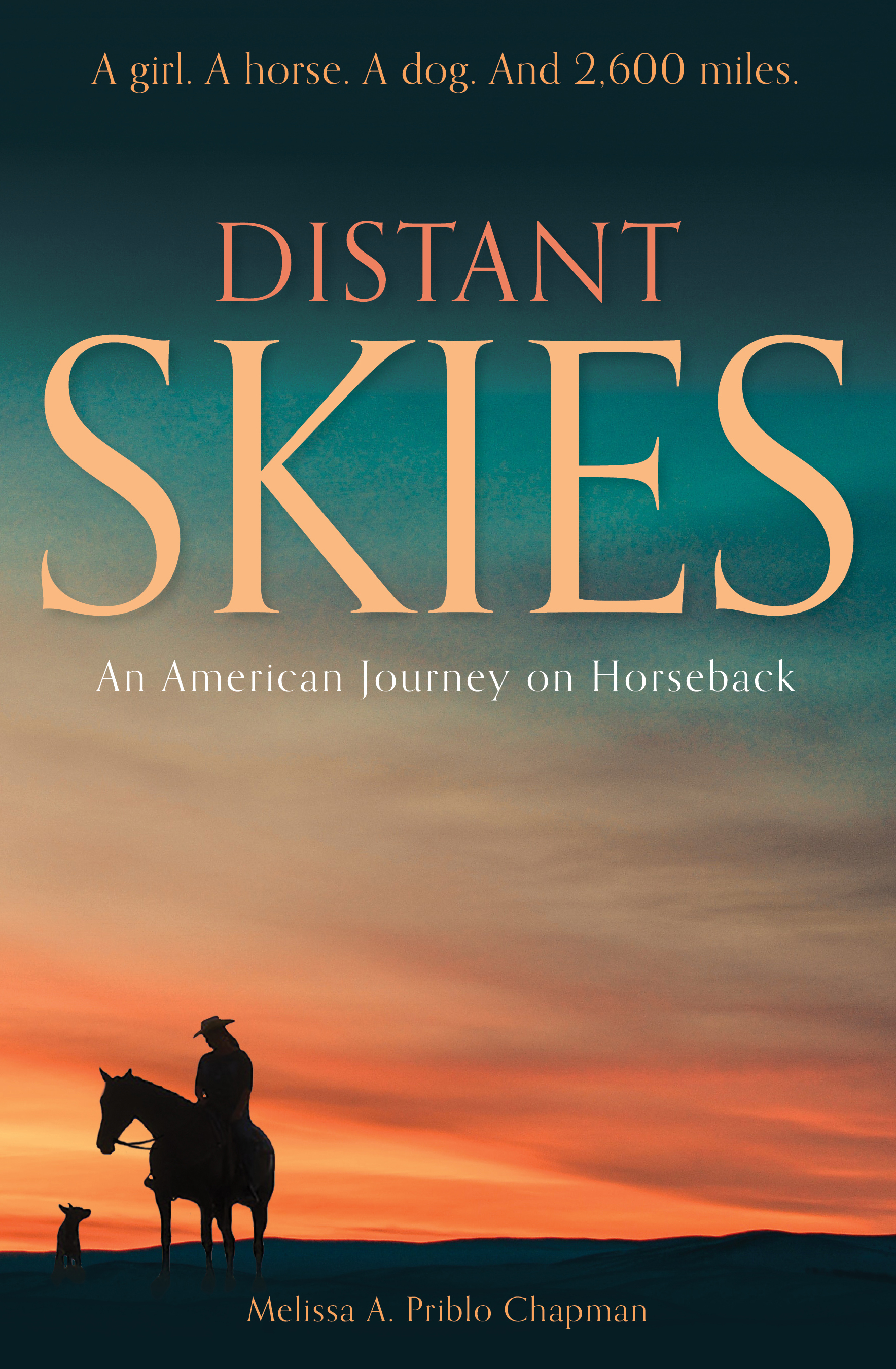 Distant Skies Book Cover