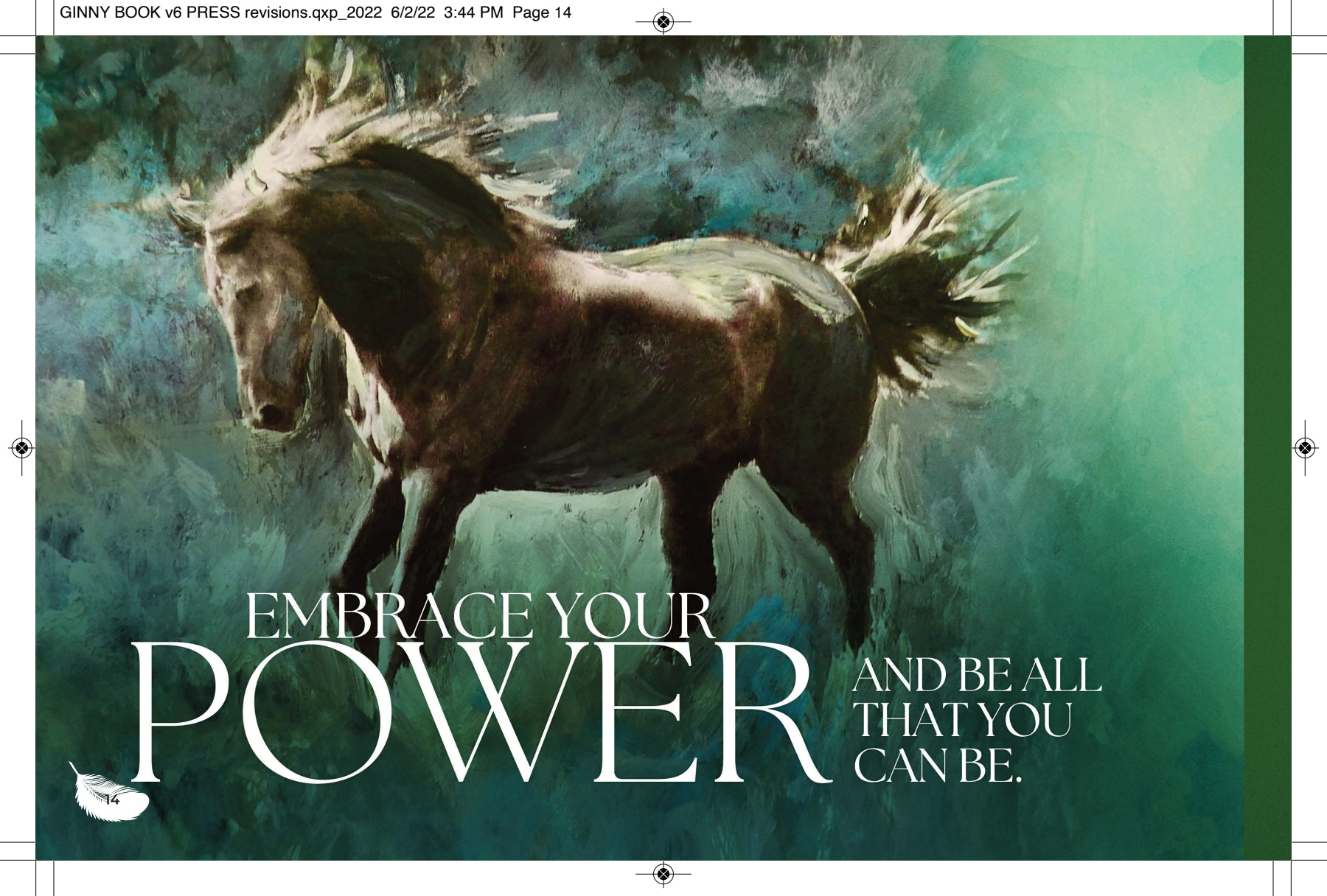 Ginny Book Horse power
