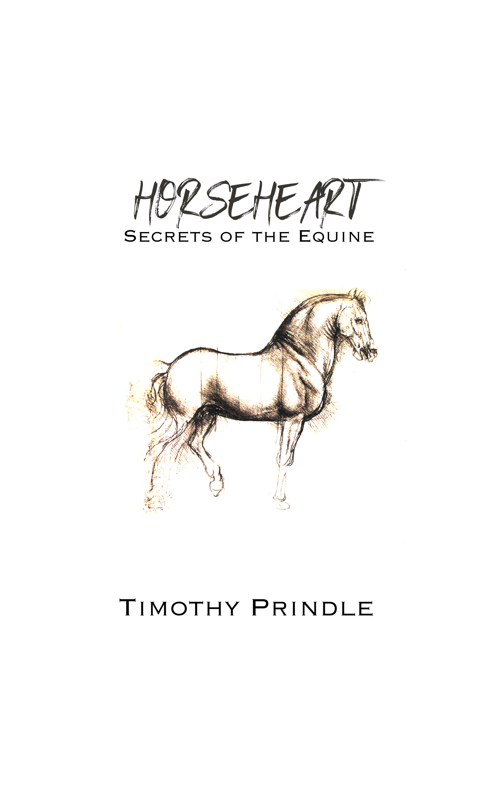 HorseHeartBookCover