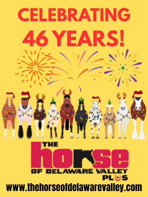 45 years of celebration Promo 2025