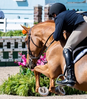 Candid back of man on horse Dicico