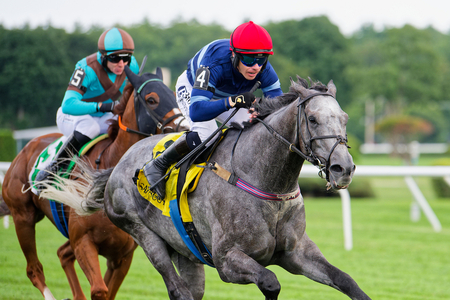 Cyber Ninja Jamie Bargary outduel Lynches Knock in Walsh 12