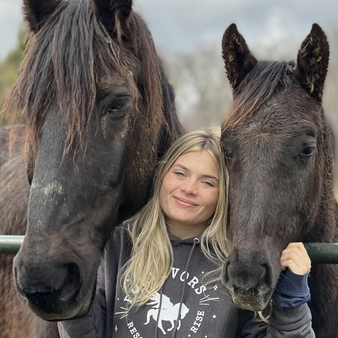 Equine 2