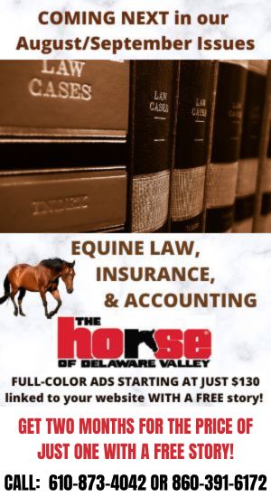 August Legal Issue