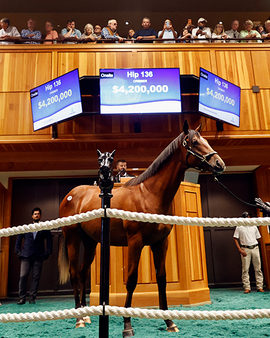 Fasig top yearling