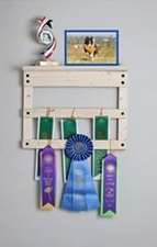 Flying colors 3