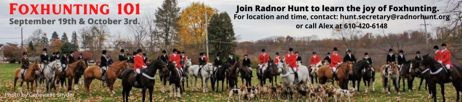 Fox Hunting 101 