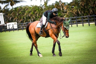 GwynethBabington on Mark Cassidy Klein