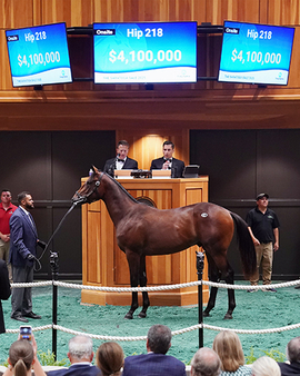 Hip 218 Saratoga