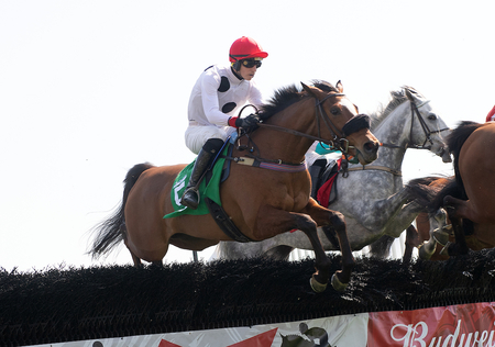 Im A Rocket Man Tod Marks