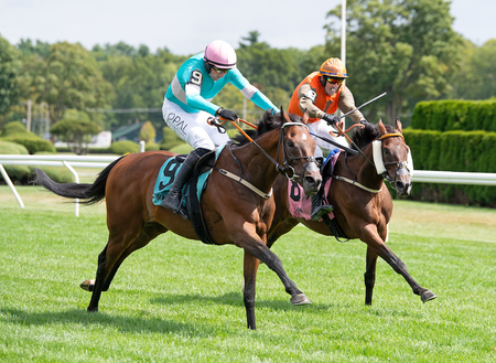 Jimmy P 9 outduels Zarak the Brave to wire in Sheppard 6