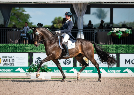 Jordan LaPlaca on Gold Play Centre Line Midia