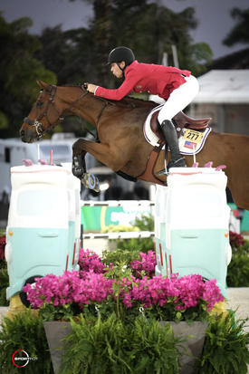 Karl Cook on Caracole de la Roque NC Sportfot