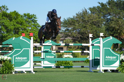 Luis Fernando Larrazabal on Baroness Sportfot