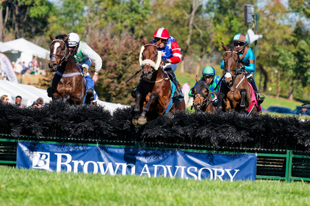Lydford center leads King of the Kids left Little Trilby over final fence in Allison 3