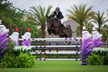 Mark Bluman on Phelina de Septon Sportfot