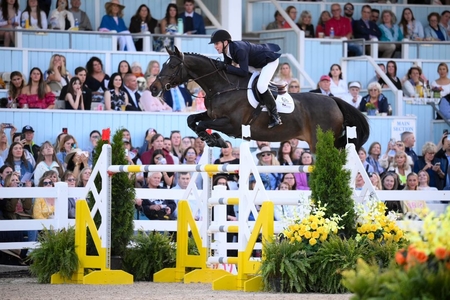 McLain Ward on Callas Kind Media Devon