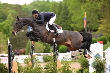 McLain Ward on Callas O S SEL Photography