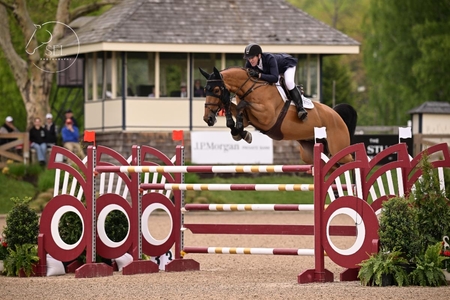 McLain Ward on Lestro VD Valckenborg SEL Photography GP