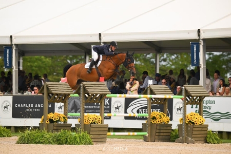 McLain Wardon Lestro VD Valckenborg