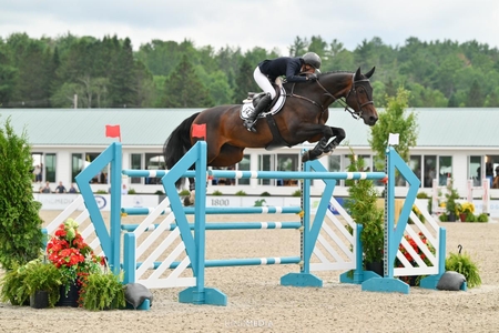 Molly Ashe Cawley on Lorona KindMedia