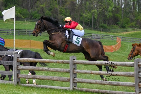 Mr. Fine Threads Grand National