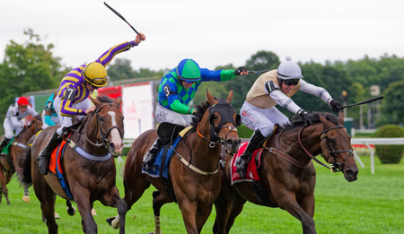 Mr. Percy right outduels Sweet Will left Siennois in Sheppard 1