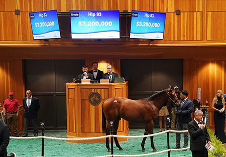 Nyquist colt at Saratoga sale