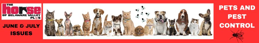 Pets & Pest Control 2026 Promo 