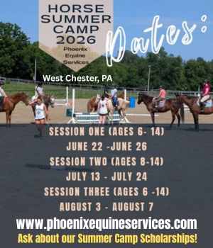 Phoenix Equine Services Summer Camp 