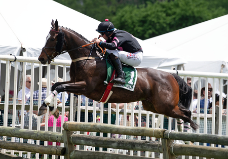 Project Two takes jump last in 2nd 2
