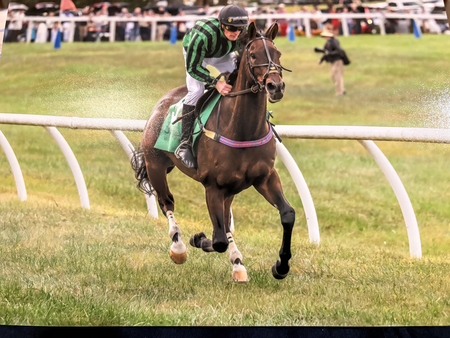 Risk Taking Bernie Dalton