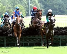 Roja Redemption overhurdle Coady Media