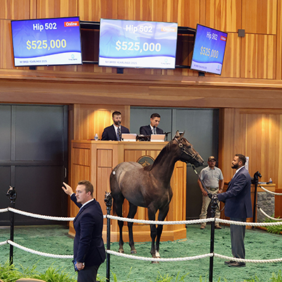 Saratoga NY bred sales topper filly