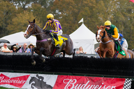 Sweet Will takes jump 2nd pass 5th 2