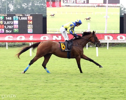 The Jackal winning Coady Medial