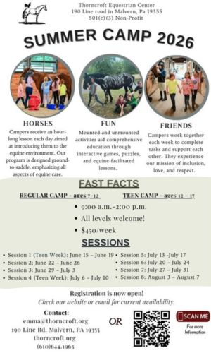 Thorncroft small summer camp