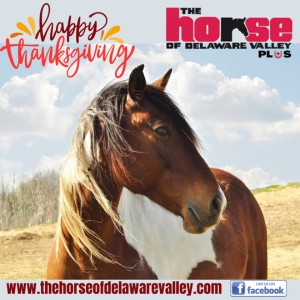 Thanksgiving Promo 2025