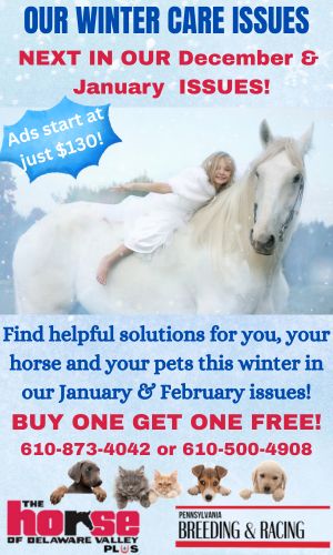 Winter Care 2026