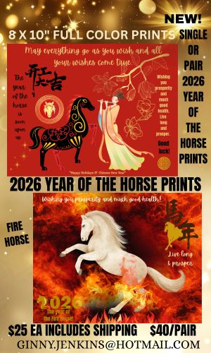 Ginny Jenkins Collection 